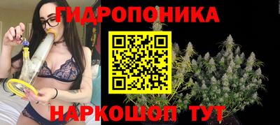 jwh Малгобек