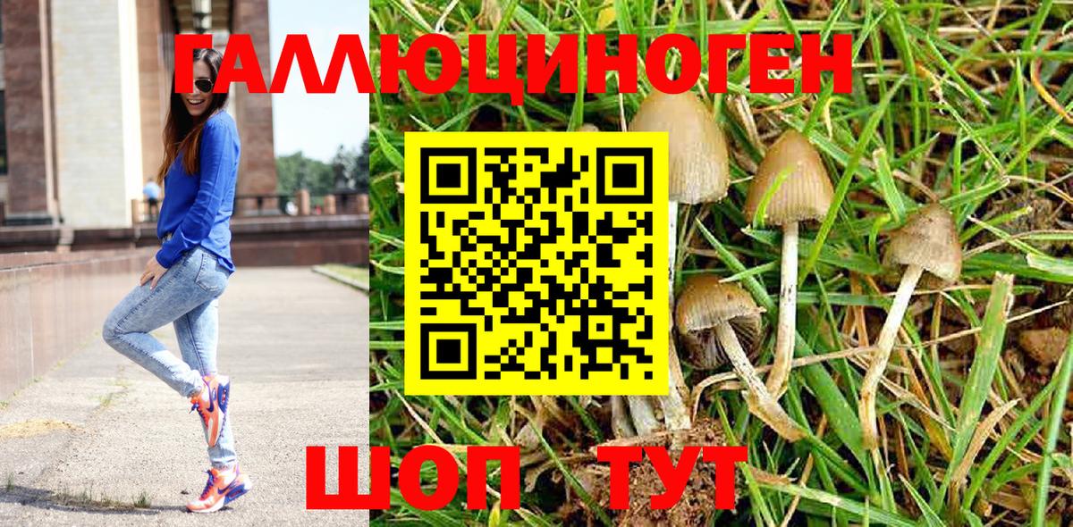 Галлюциногенные грибы мицелий Радужный